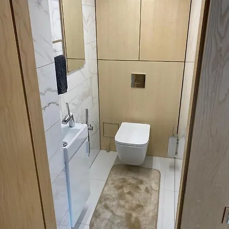 Vieno Miegamojo Apartamentas * Kaunas