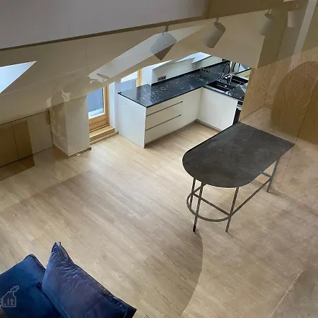 Vieno Miegamojo Apartamentas Apartment *