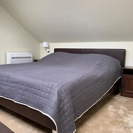 Vieno Miegamojo Apartamentas Apartment